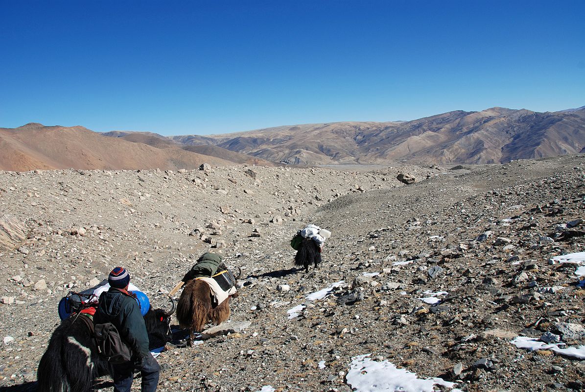 34 Trail From Kong Tso Is Getting Close To Ngora The yaks lead the way as the trail nears Ngora.